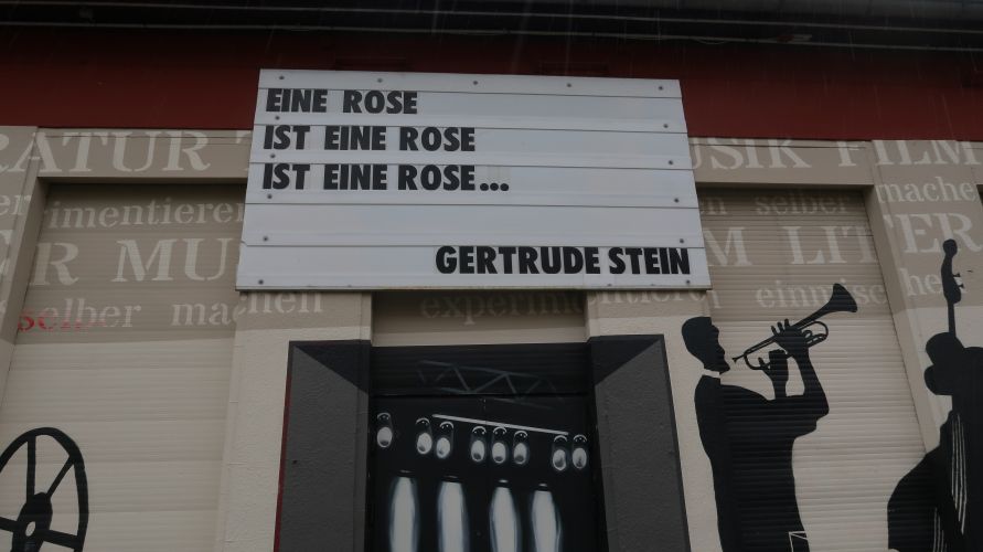 Eine Rose